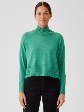 Eileen Fisher 100% Merino Jersey Turtleneck Top Green Womens Size 1X